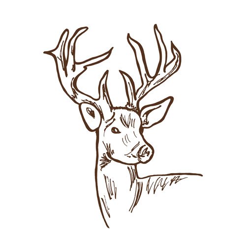 Deer-Brown